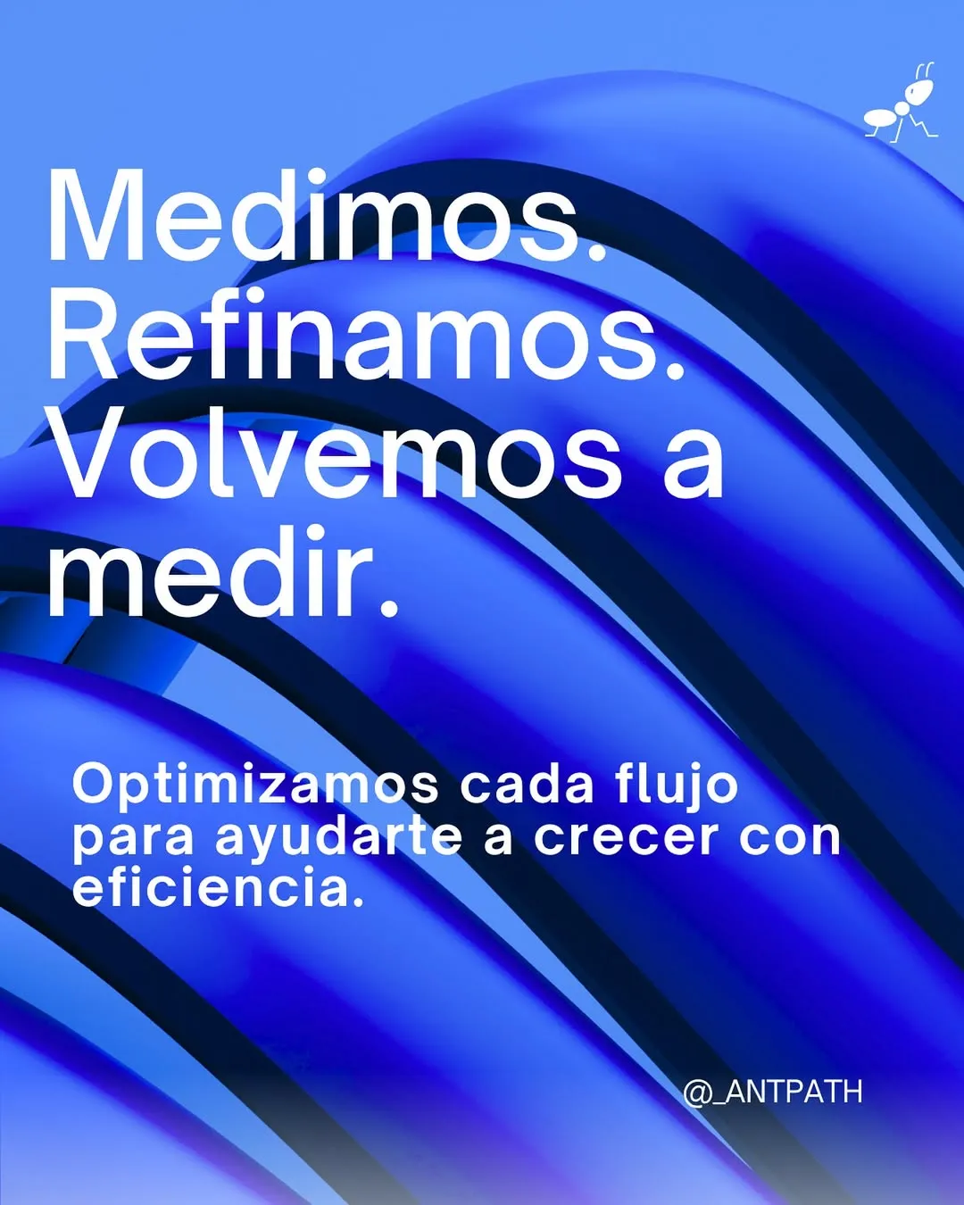 No dejamos nada al azar.