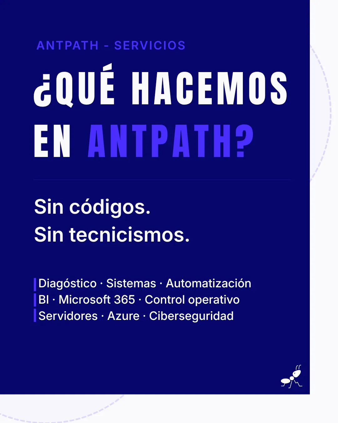 ¿Qué hacemos en AntPath? Aquí va la versión sin tecnicismos.