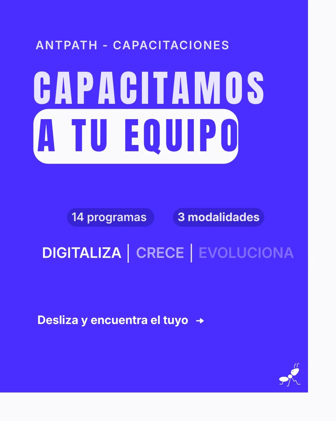 Además de construir sistemas, capacitamos equipos.
